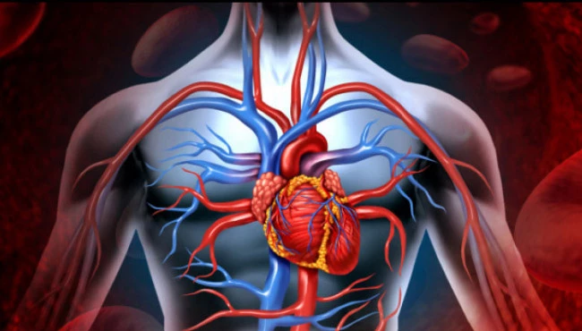 Damarların en büyük tehdidi diyabet