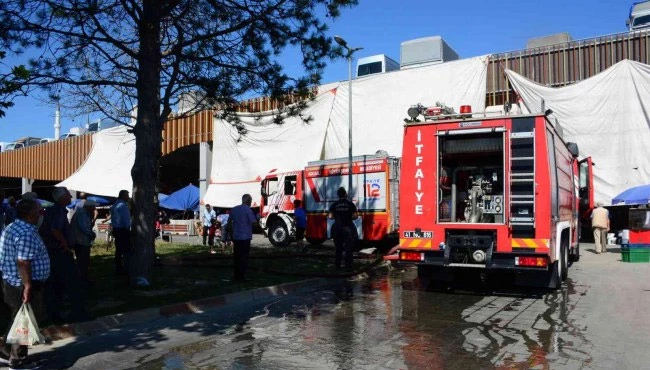 Park halindeki panelvan alevlere teslim oldu