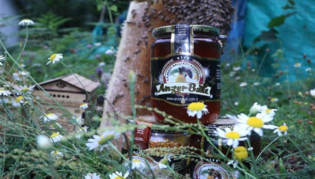 Anzer balının kilosu 2 bin TL oldu