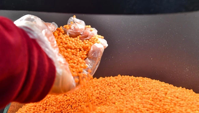 TMO: “Kırmızı mercimek alım fiyatı ton başına 14 bin TL oldu”