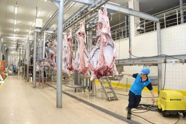 Kurbanlar modern teknik ekipmanlarla kesiliyor