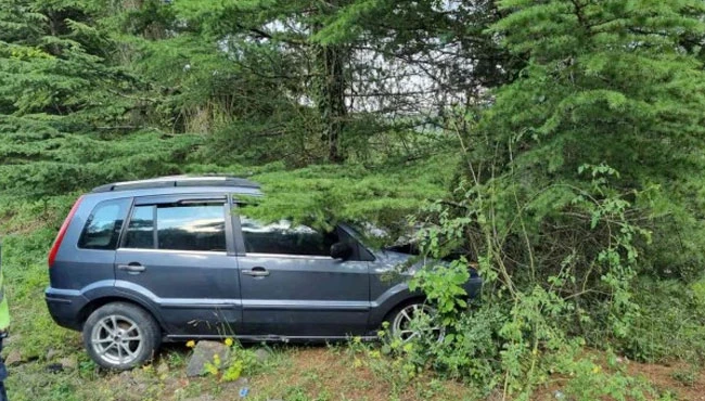 Yoldan çıkan otomobil ağaca çarpttı: 2
