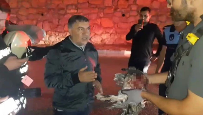 Belediye başkanı tele takılan martı için tüm ekipleri harekete geçirdi