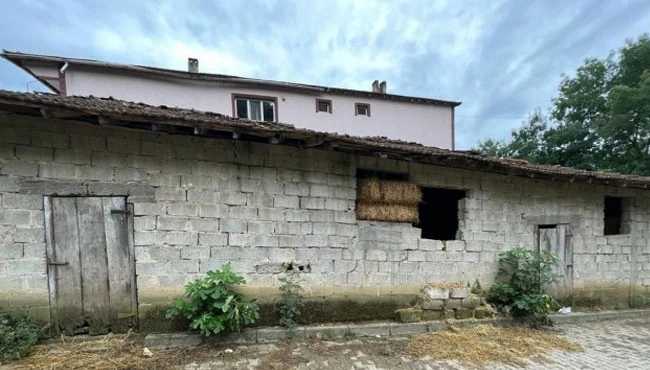 Bayram günü ağabeyini öldürdü, cinayetin sebebi samanlık çıktı