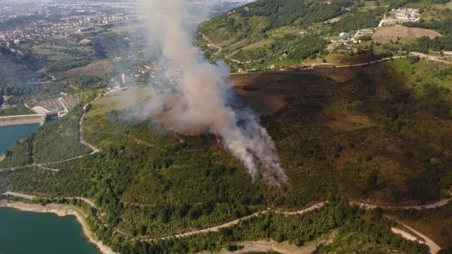 Ormanda yangın çıktı, söndürme çalışmaları devam ediyor