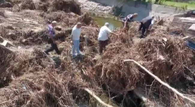 Köprüsü yıkılan köylüler, ağaç köklerinden yaptıkları patika yol ile karşıya geçiyor
