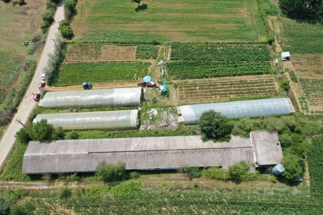 Büyükşehirden üreticilere yüzde 50 hibeli sera desteği
