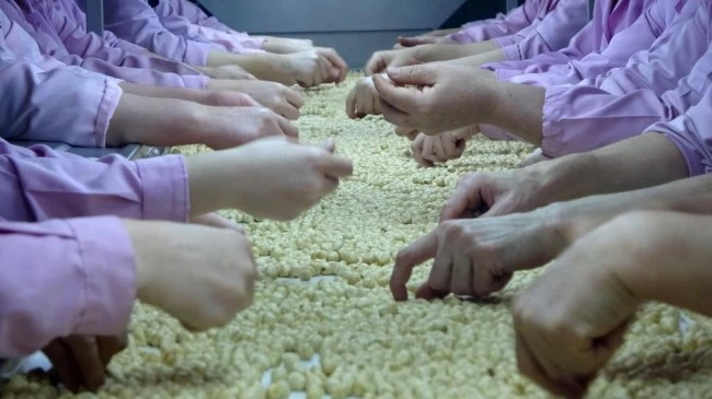 Altı ayda 10 bin 184 ton fındık ihraç edildi
