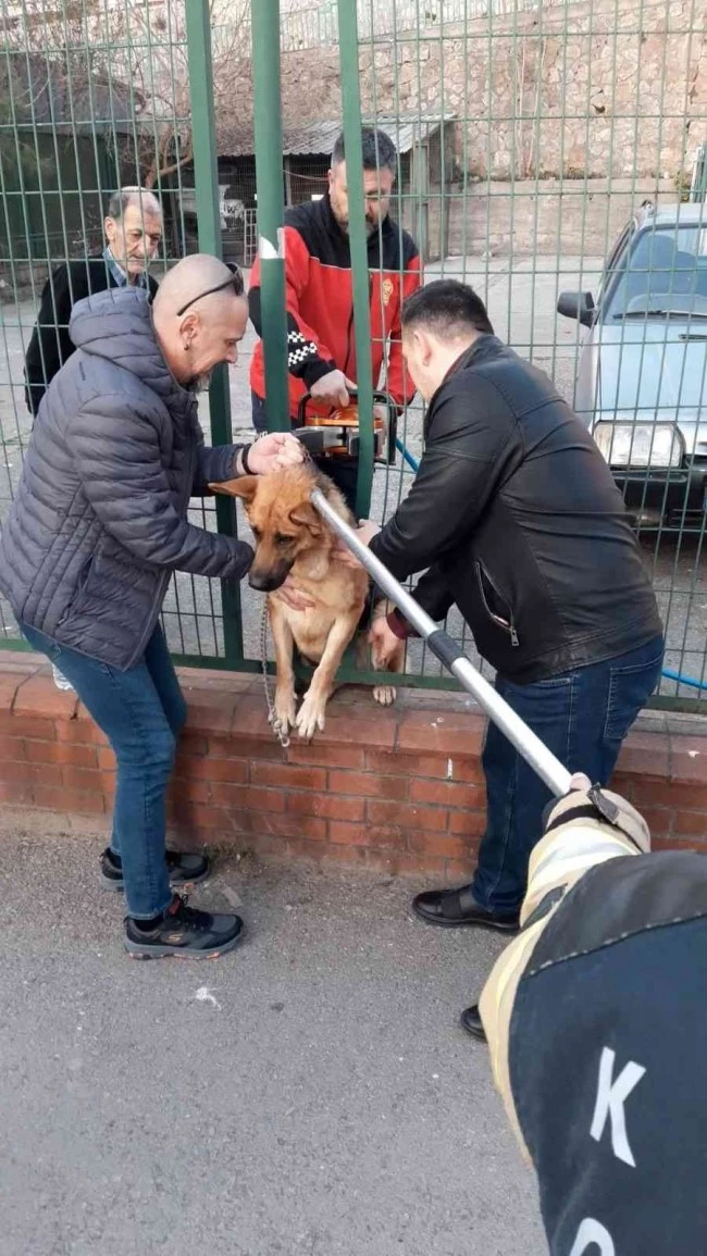 Tel örgülerin arasına sıkışan köpeğe kurtarma operasyonu
